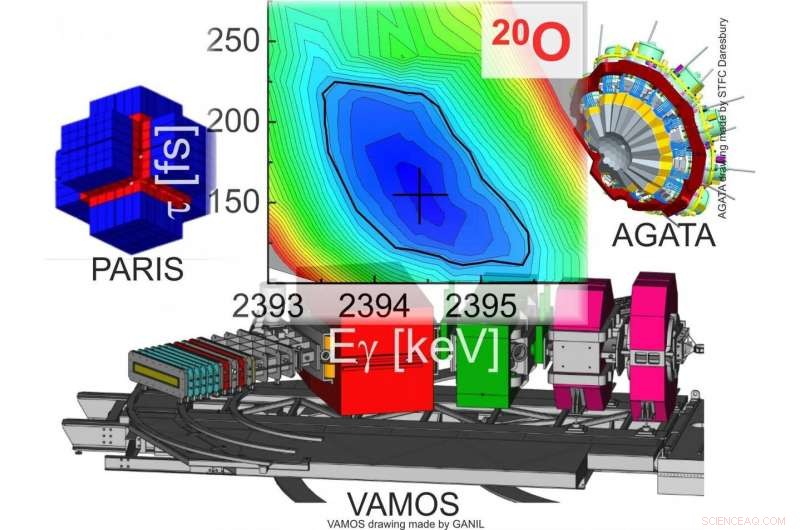 Unveiling Nuclear Forces through Photon Signatures