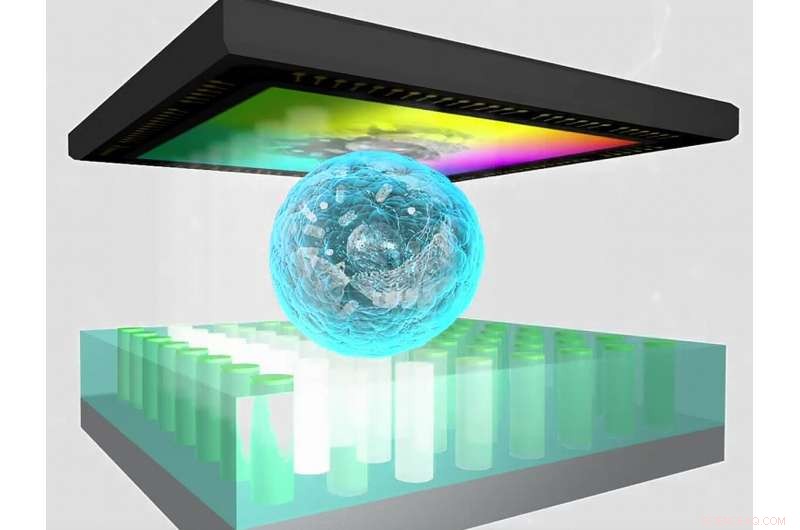 ChipScope: A Cutting-Edge Solution for Optical Microscopy