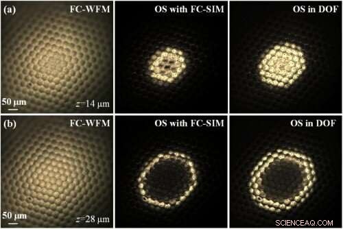 Researchers Capture Full‑Color 3‑D Images with Conventional Microscopes