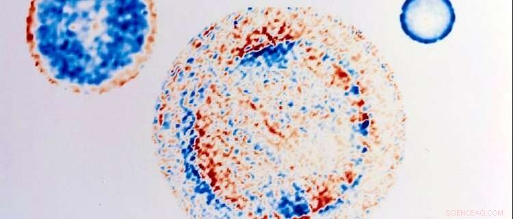 Eliminate the Coffee‑Stain Effect: Proven Methods to Restore Clean Surfaces