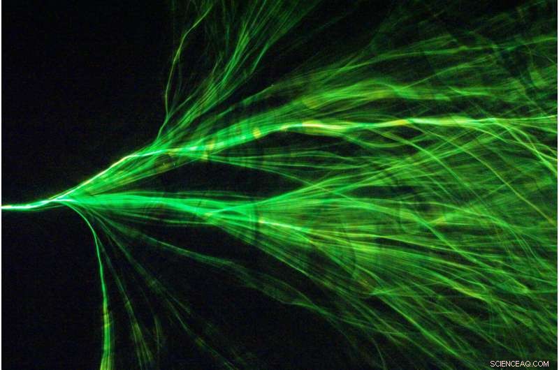 First-Ever Observation of Light’s Branched Flow Unveils New Optical Phenomena