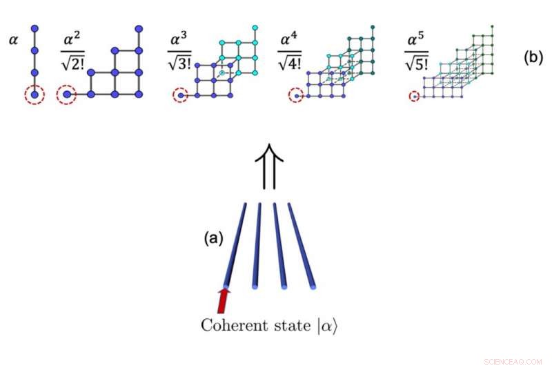 Harnessing High-Order Synthetic Dimensions in Photonic Waveguide Lattices