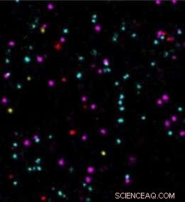 Physicist Enhances DNA-PAINT Microscopy for Faster, Colorful Super‑Resolution Imaging