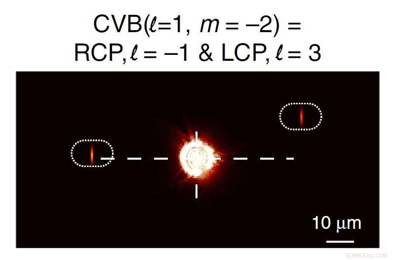 On-Chip Spin-Hall Nanograting Enables Simultaneous Detection of Phase and Polarization Singularities