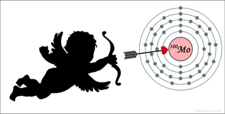 Scientists Showcase CUPID-Mo Experiment, Advancing the Hunt for Neutrinoless Double Beta Decay