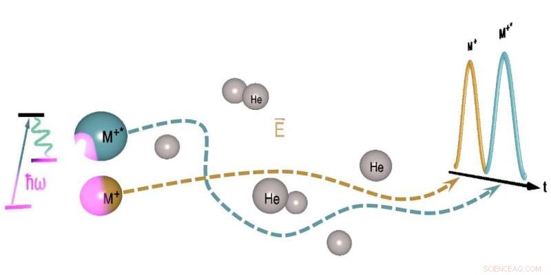 Innovative Method Unveiled for Investigating Superheavy Elements