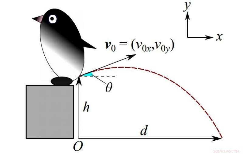 Precise Pressure Measurement for Penguin Defecation Dynamics