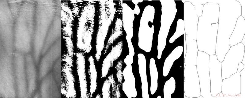 Revolutionary Non‑Spoofable Hand‑Vein Sensor for Seamless Smartphone Integration