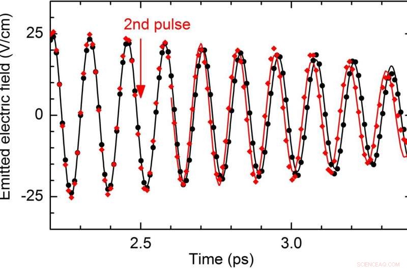 Advanced Hammer‑On Technique for Precise Atomic Vibrations in Crystals