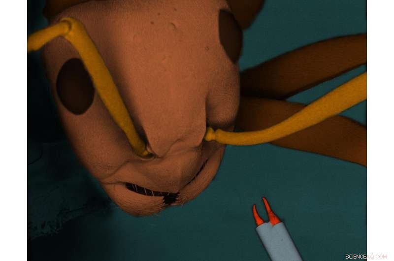 Ultra‑Small Optical‑Fiber Micro‑Gripper Operated Remotely by Light