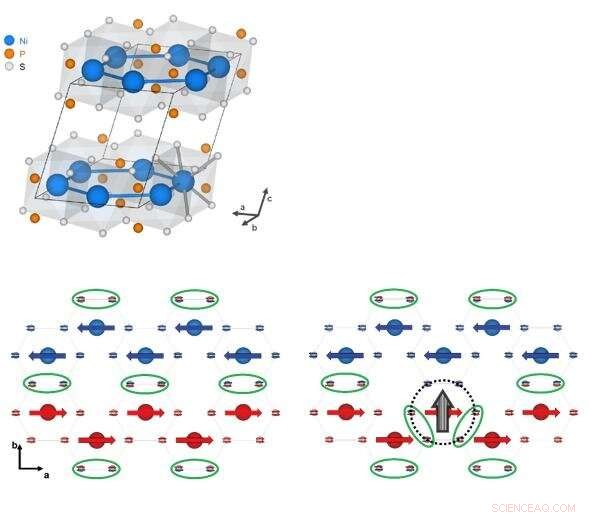 Quantum Exciton Unveiled in Magnetic Van der Waals NiPS3