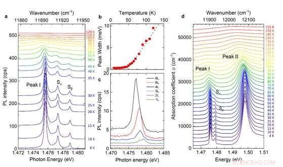 Quantum Exciton Unveiled in Magnetic Van der Waals NiPS3
