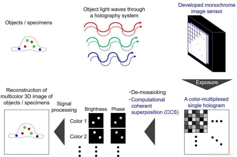 Instantaneous Color‑Multiplexed Holographic System Achieves Rapid Fluorescence and White‑Light Sensing
