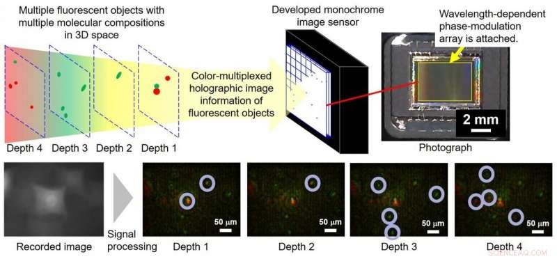 Instantaneous Color‑Multiplexed Holographic System Achieves Rapid Fluorescence and White‑Light Sensing