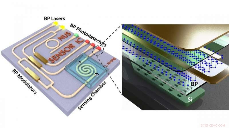 Black Phosphorus: Revolutionizing 3‑D Analysis & Molecular Fingerprinting with Mid‑Infrared Photonic Hybrids
