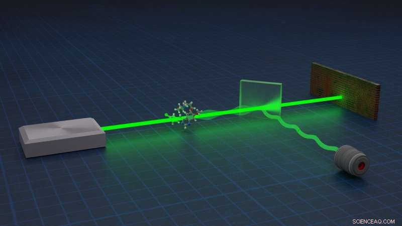Harnessing Quantum Negativity for Ultra-Precise Measurements