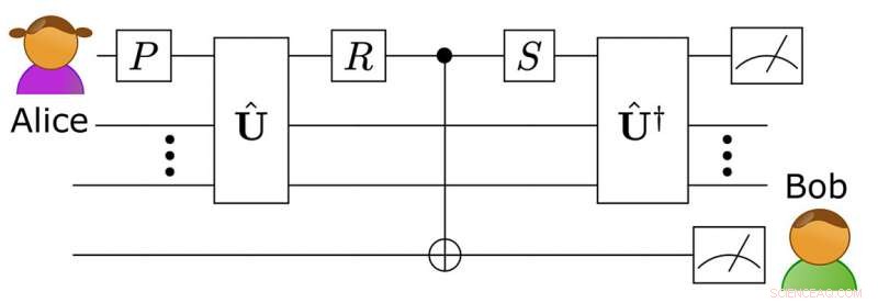 New Quantum Time Travel Simulation Disproves Butterfly Effect in Quantum Systems