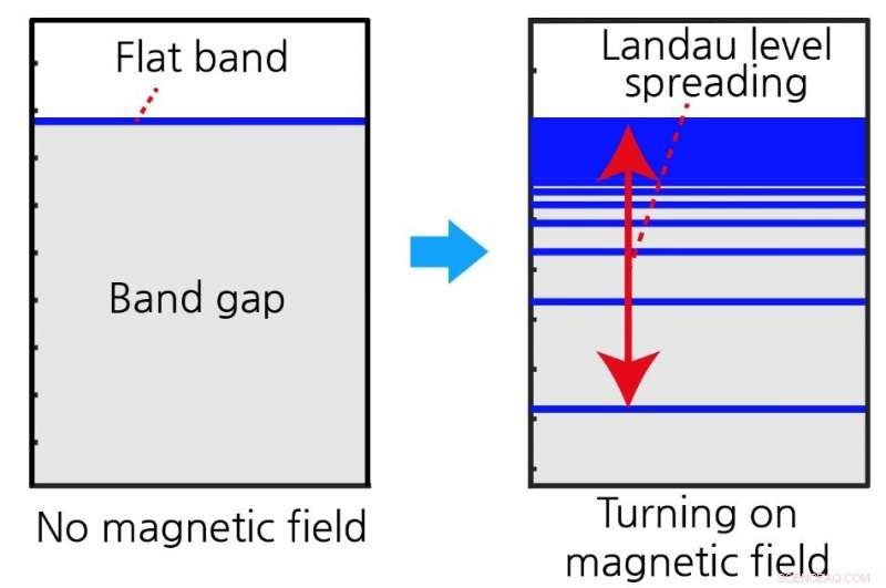 Quantum Geometry in Flat‑Band Materials: Unveiling Anomalous Landau Levels