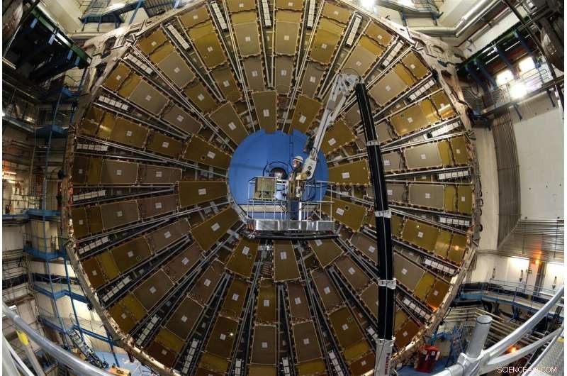 CERN Experiments Reveal First Evidence of Higgs Boson Decaying to Muons