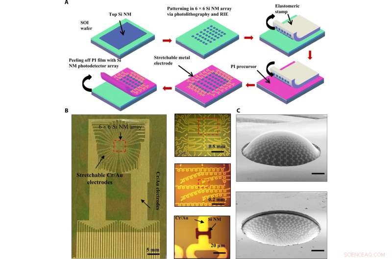 Extending Silicon s Short-Wavelength Infrared Absorption Using Strain Engineering