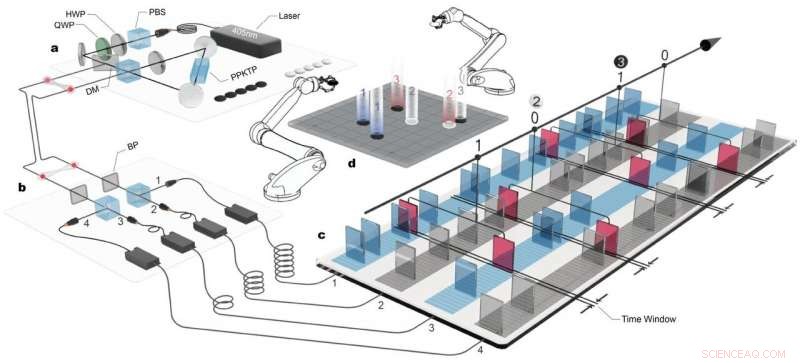Entangled Photons Enable Quantum Go: A Breakthrough Experimental Machine