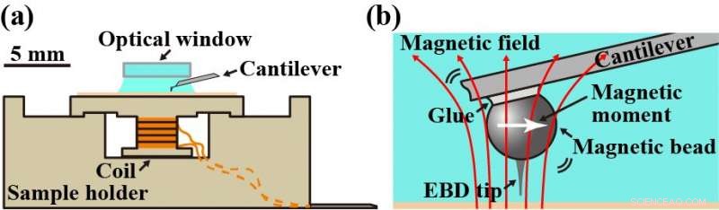 Revolutionizing Photosensitive Materials: High‑Sensitivity AFM Unveils New Possibilities