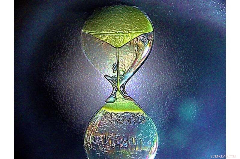 Reversing Quantum States: Unveiling Time-Reversal of the Unknown