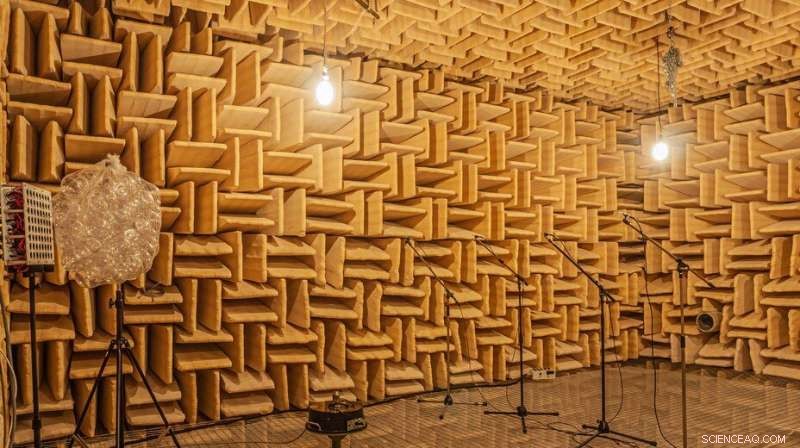 Revealing the Invisible: EPFL s Deep Learning and Metamaterials Break New Ground in Sound Imaging