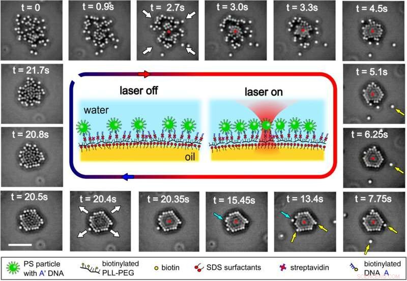 Laser-Driven Crystallization of Polystyrene Colloids at Oil‑Water Interfaces