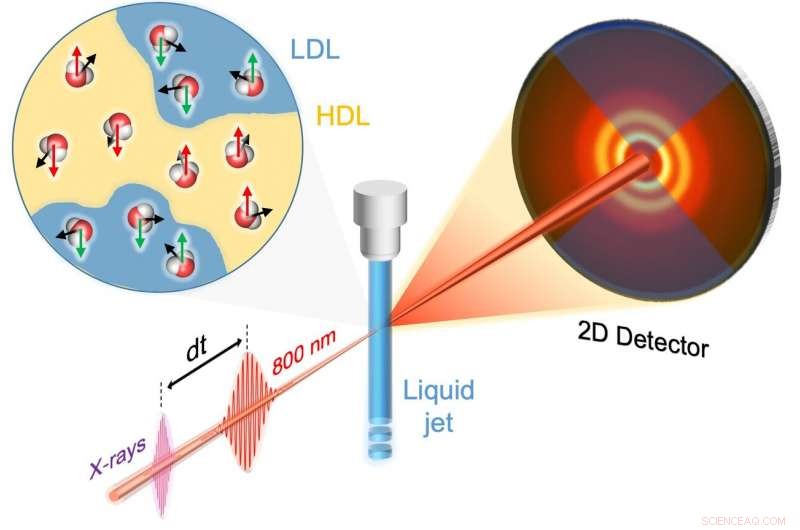 X‑Ray Study Reveals Water Can Form Transient Liquid Crystals