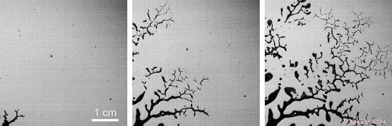 Scientists Record Stunning Footage of Fluid Exhibiting Solid-Like Behavior