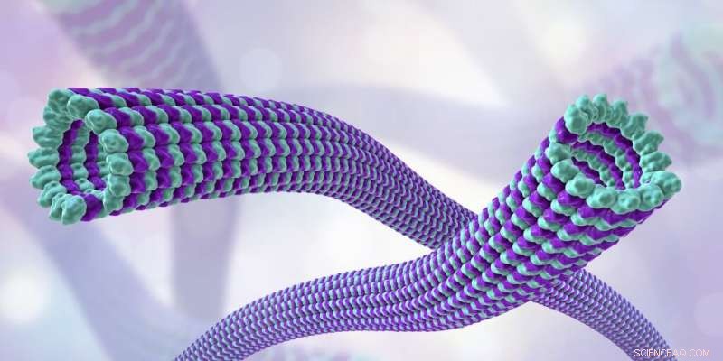 Revealing the Exponential Scaling of Cellular Friction Forces