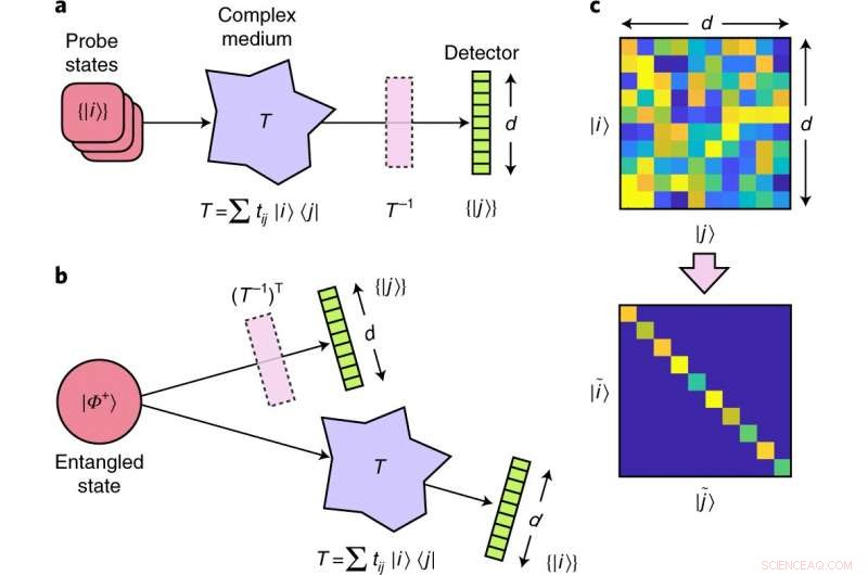 High‑Fidelity Fiber‑Optic Entanglement Transmission Demonstrated