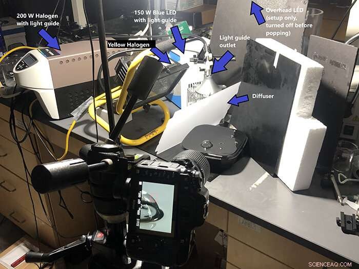 Exploring Ripple Formation During Slow‑Motion Bubble Collapse