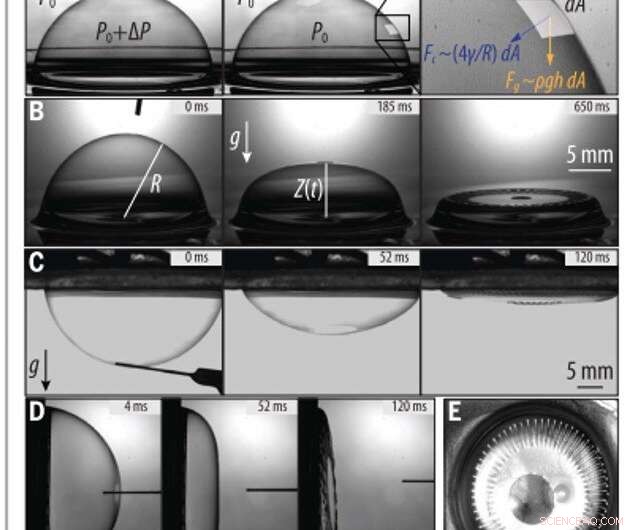 Exploring Ripple Formation During Slow‑Motion Bubble Collapse