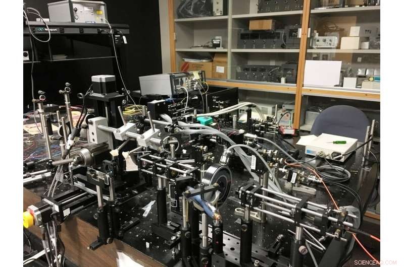 Advanced OCT/SLO Imaging Reveals Precise Photoreceptor Function