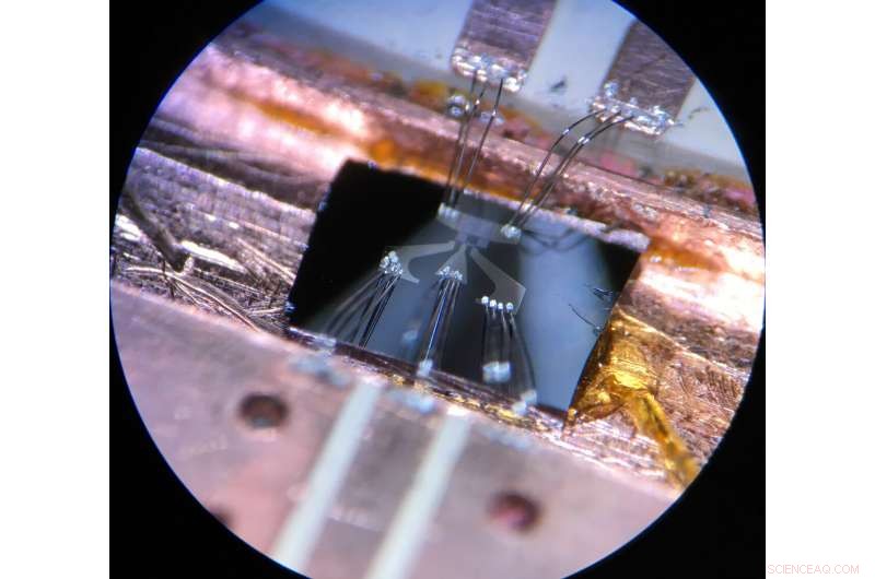 Quantum Feedback-Enhanced Method for Canonical Phase Measurements