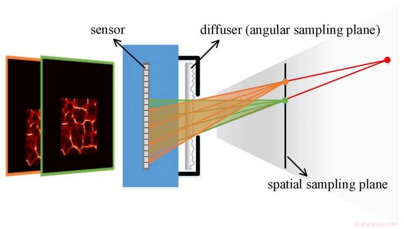 High-Resolution Lensless Light-Field Imaging Using Diffuser Encoding