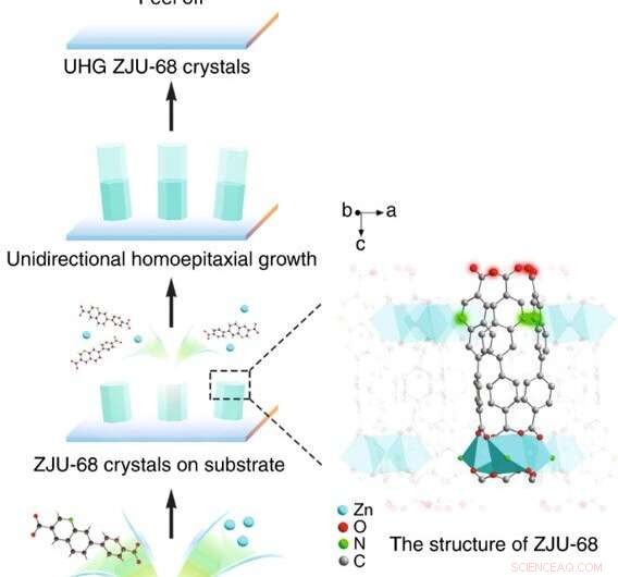 MOF Microcrystals Enable Multicolor Broadband Lasing for Next-Gen Photonics