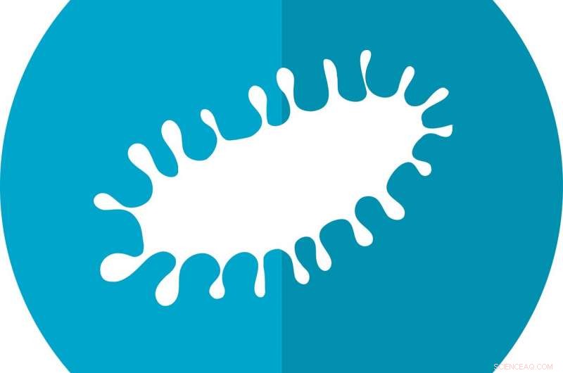 Reduced Flocking Among Microorganisms Lowers Predation Risk