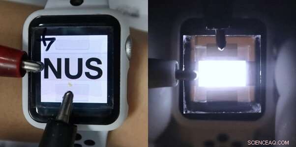 Transparent Near‑Infrared LEDs for Seamless Smart Display Integration