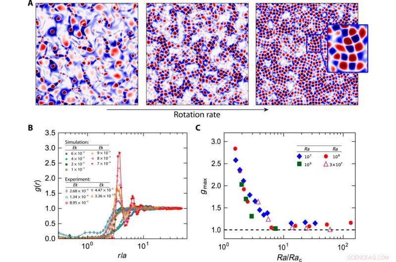 Vortices as Brownian Particles: Unveiling Turbulent Flow Dynamics