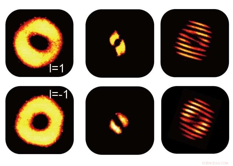 Advanced Dual-Channel Multidimensional Vortex Beam Generator for Precise Optical Applications