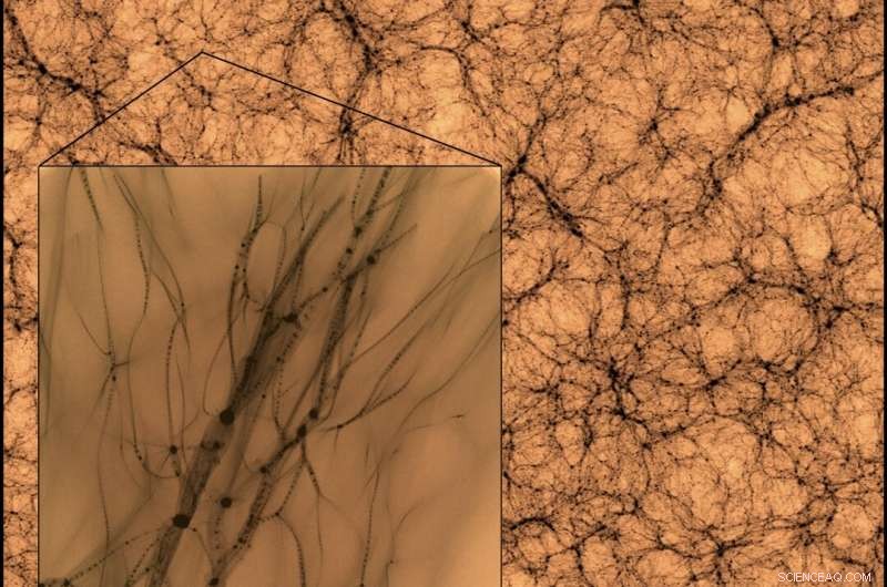 Exploring the Mysteries of Dark Matter: A Deep Dive