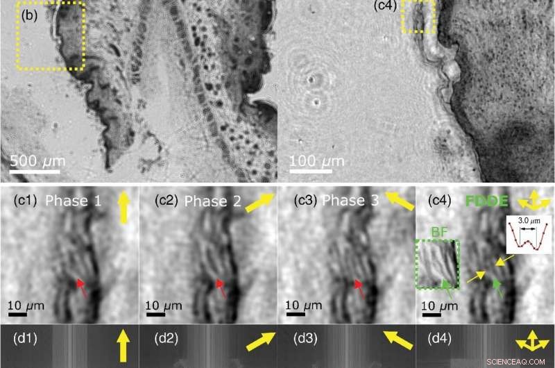 Enhancing Image Clarity: Super-Resolution via Diagonal Sampling Techniques