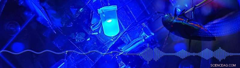 How Adding Noise Enhances Sensor Performance Through Stochastic Resonance