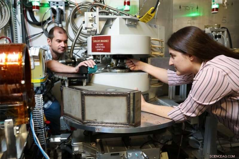 Unveiling the Neutron Lifetime Mystery: Latest Experimental Insights