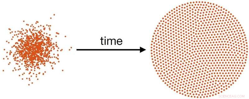 Australian Study Reveals Vortex Top Hats in Superfluids