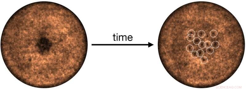 Australian Study Reveals Vortex Top Hats in Superfluids