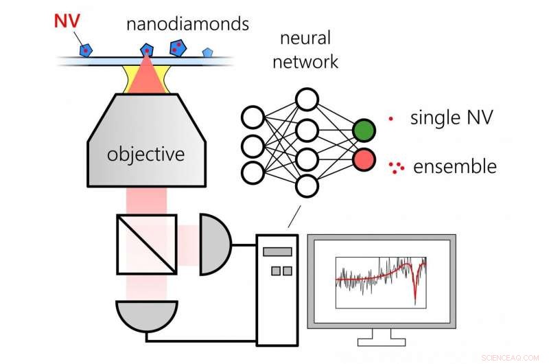 AI‑Powered Rapid Classification of Quantum Light Sources